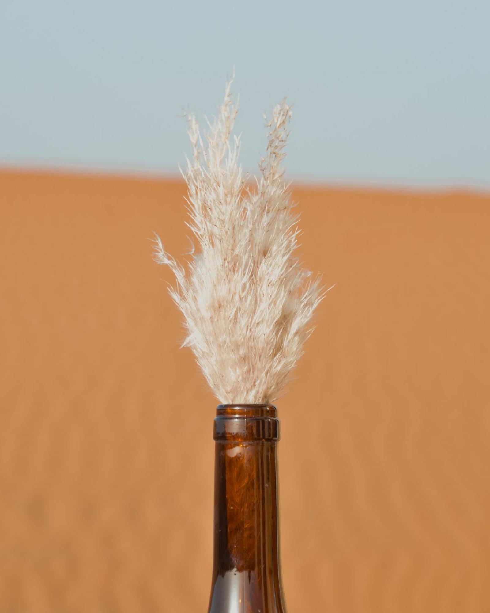 Bohem Camp Hotel Merzouga Luaran gambar